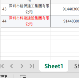 Excel操作界面截图（红色废标单位）